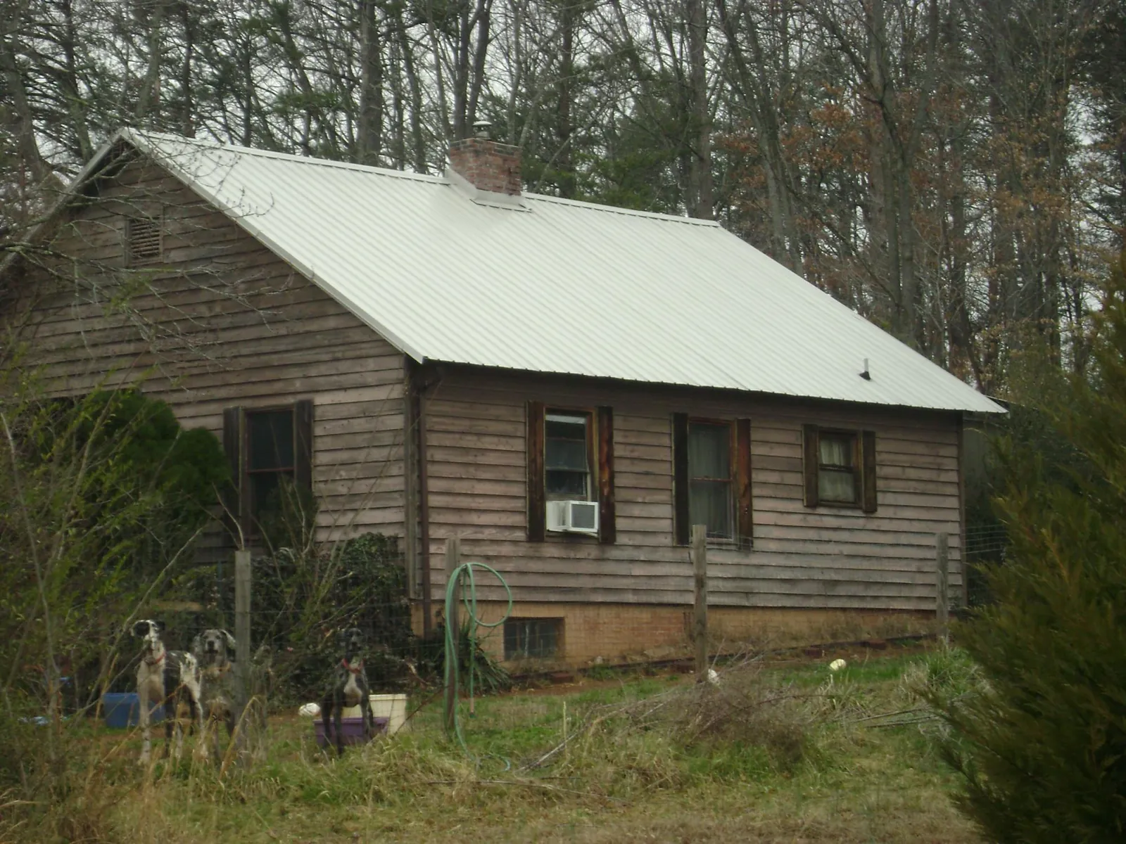 White metal roof on an old wood sided farmhouse, from a Asphalt Shingle Roof Repair job in Margarettsville